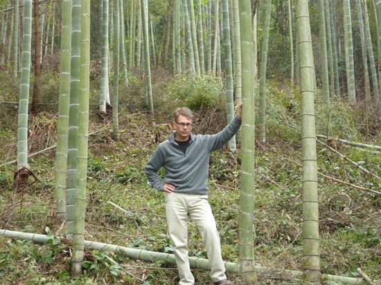 Oliver Campbell in Bamboo Forest